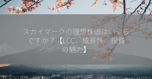 スカイマークの理想株価はいくらですか？【LCC、成長性、投資の魅力】