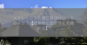 メドレックスの適正株価はいくらですか？【成長性と安定性を見極める】